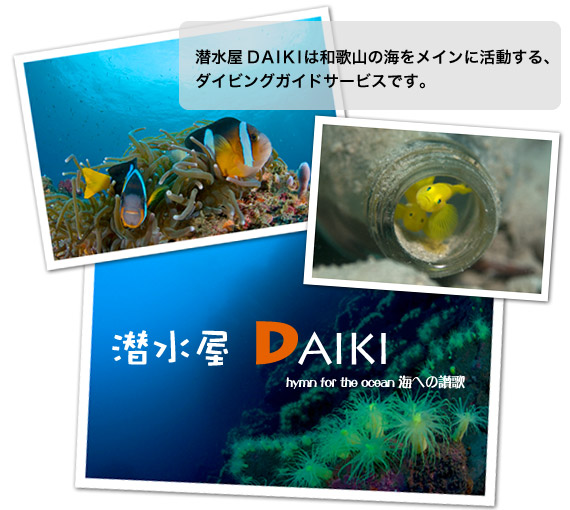 潜水屋DAIKIは 和歌山県みなべ・田辺の海をホームグラウンドにする ダイビングガイドサービスです!